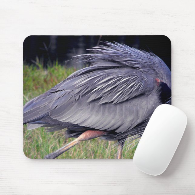 Mousepad Heron Territory (Com mouse)