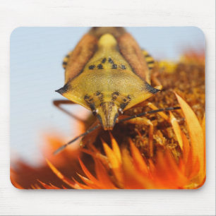 Mousepad Heterótero