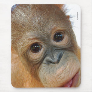 Mousepad Hey, eu sou uma foto bonito do orangotango