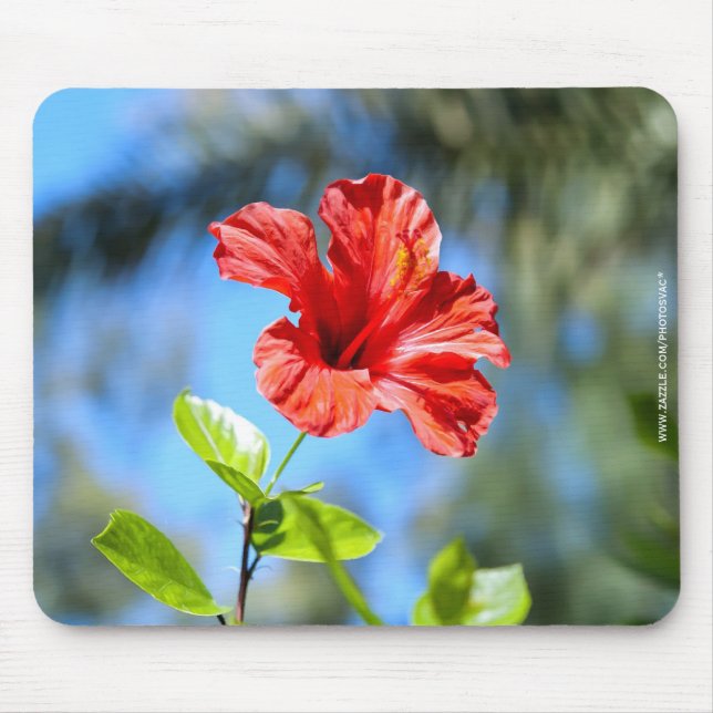 Mousepad Hibisco Vermelho (Frente)