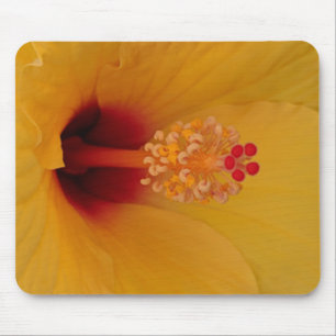 Mousepad Hibiscus
