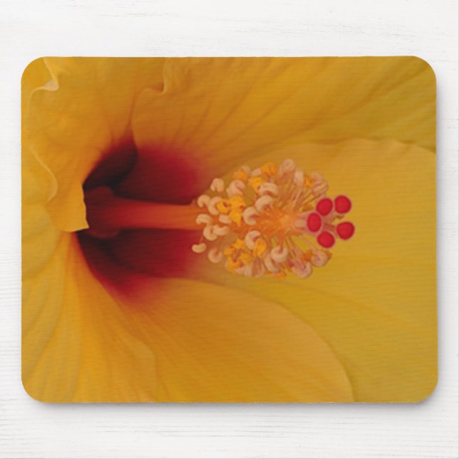Mousepad Hibiscus (Frente)