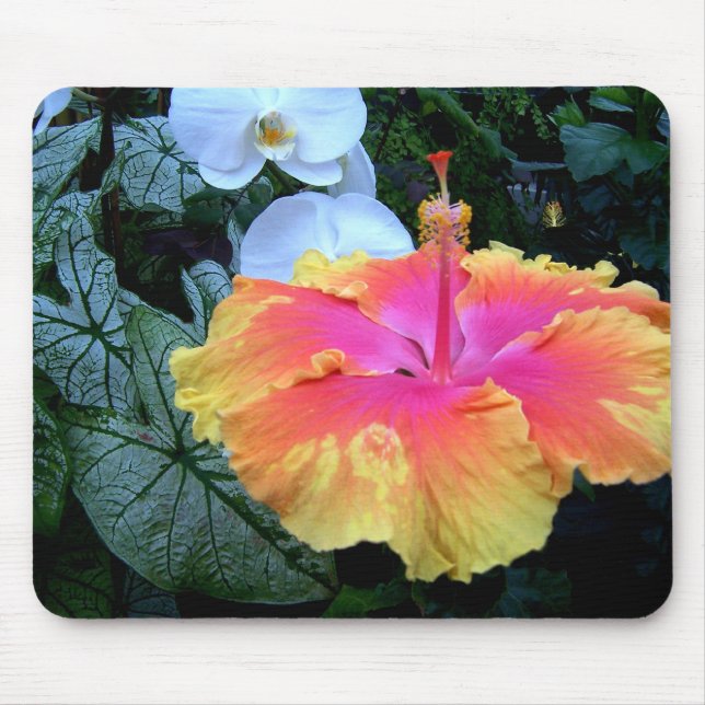 Mousepad hibiscus (Frente)