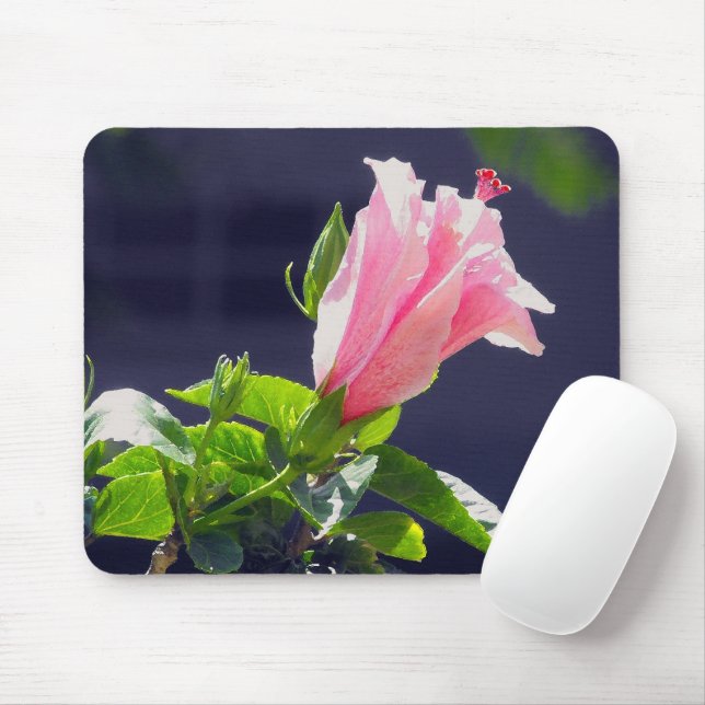 Mousepad Hibiscus à luz do sol brilhante (Com mouse)