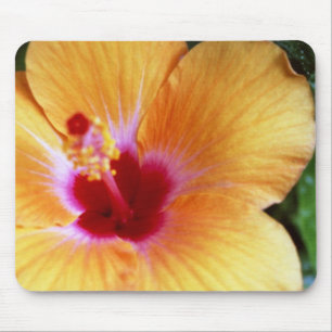 Mousepad Hibiscus, amarelo alaranjado