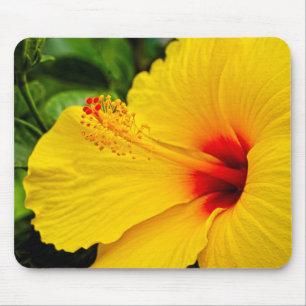 Mousepad Hibiscus amarelo brilhante