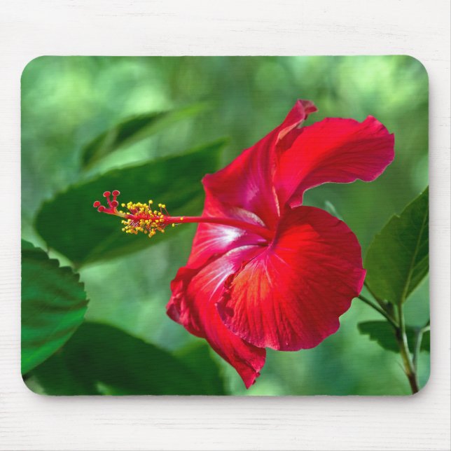 Mousepad Hibiscus Blossom (Frente)
