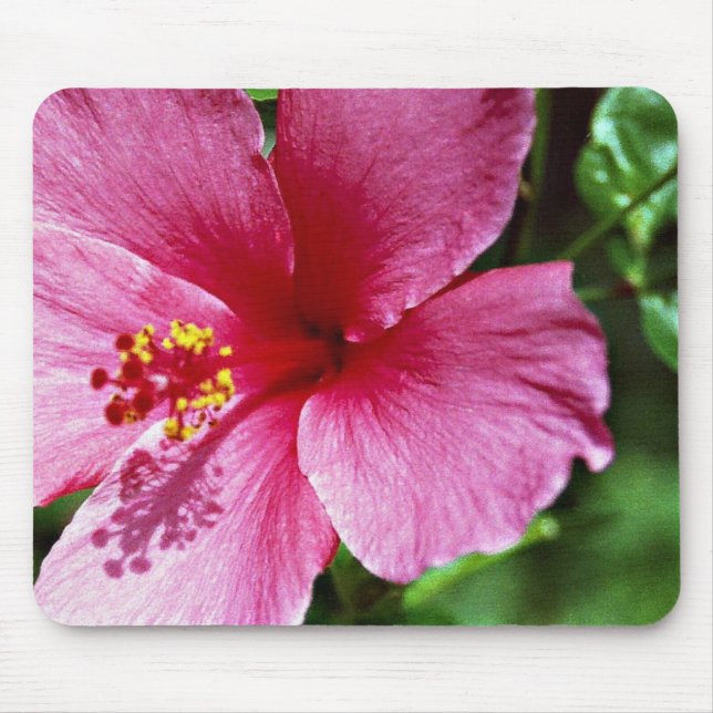 Mousepad Hibiscus, rosa (Frente)