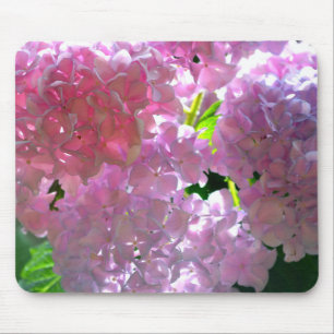 Mousepad Hidrampas Rosa Radiantes, flores cor-de-rosa, flor
