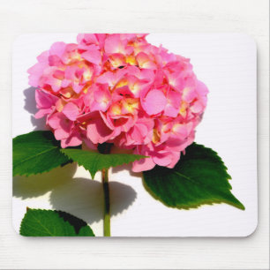Mousepad Hídranga cor-de-rosa Elegante