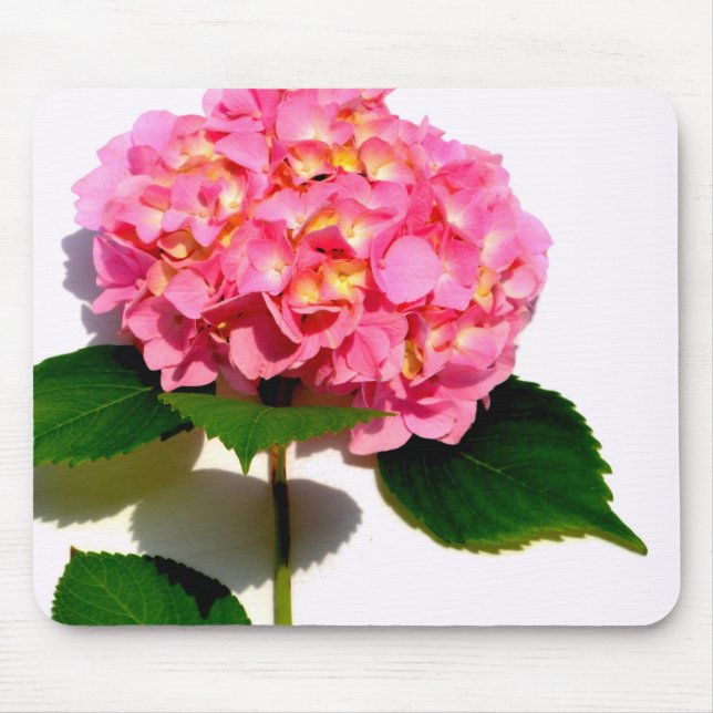 Mousepad Hídranga cor-de-rosa Elegante (Frente)