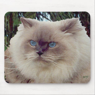 Mousepad Himalaia Gato Persa