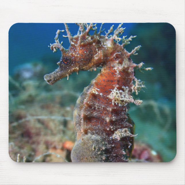 Mousepad Hipocampo Ramulosus do cavalo de mar | (Frente)