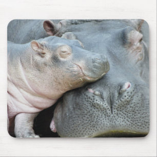 Mousepad Hipopótamo