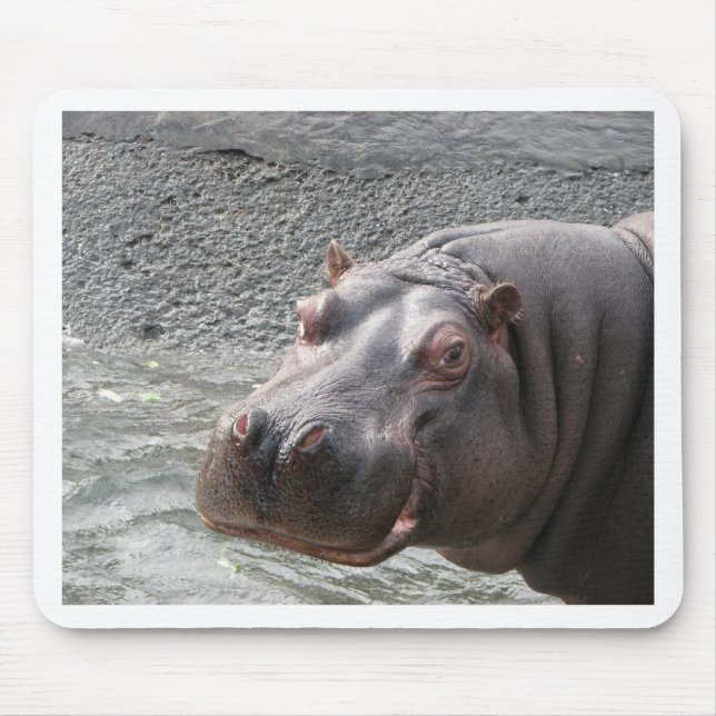 Mousepad Hipopótamo picante! (Frente)