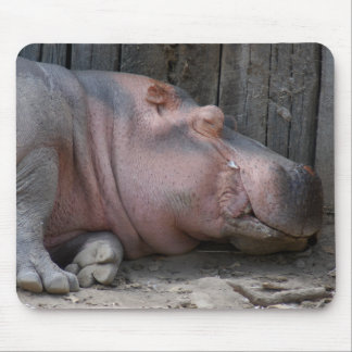 Mousepad hippo2-4