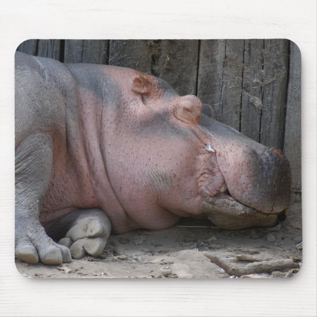Mousepad hippo2-4 (Frente)