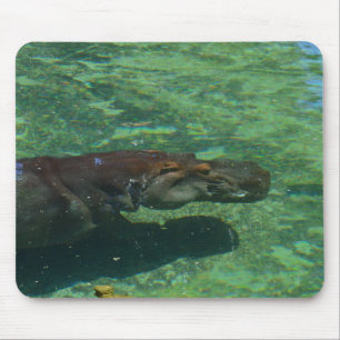 Mousepad Hippo Grande Nadando Sob Água,