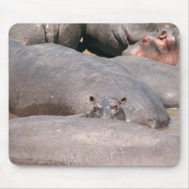 Mousepad Hippo Olhando para você