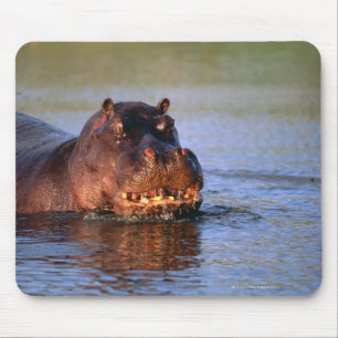 Mousepad Hippopotamus no rio