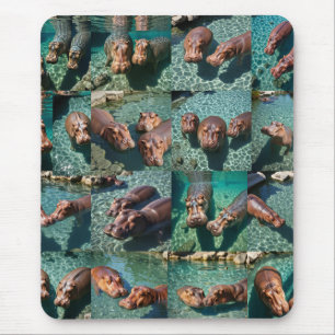 Mousepad Hippos no Play: Um Paraíso Pond
