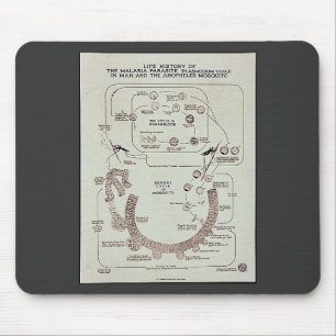 Mousepad História de vida do parasita de malária