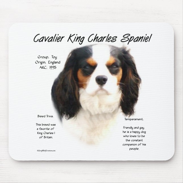 Mousepad História do Cavaleiro Rei Charles Spaniel (tricolo (Frente)