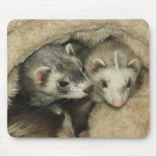Mousepad Hobs e Jills das doninhas do bebê