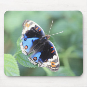 Mousepad Hodokubo, Hino, Tokyo, Japão 4