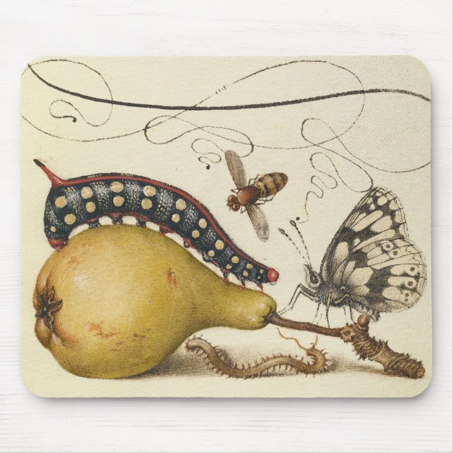 Mousepad Hoefnagel Pérola Vintage & Insetos 1500s Renascime (Frente)