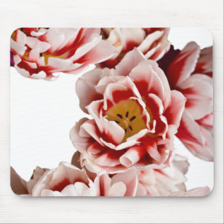 Mousepad Holandês-Mestrado