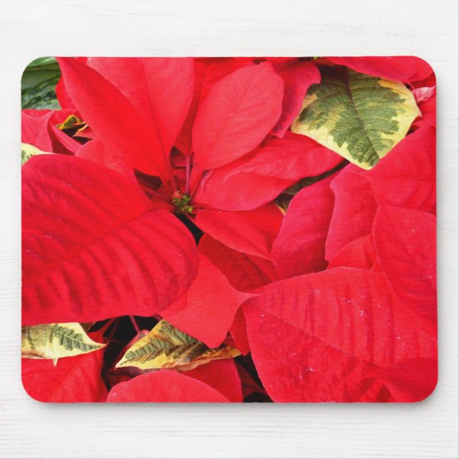 Mousepad Holly Point Poinsettias Holiday Floral (Frente)