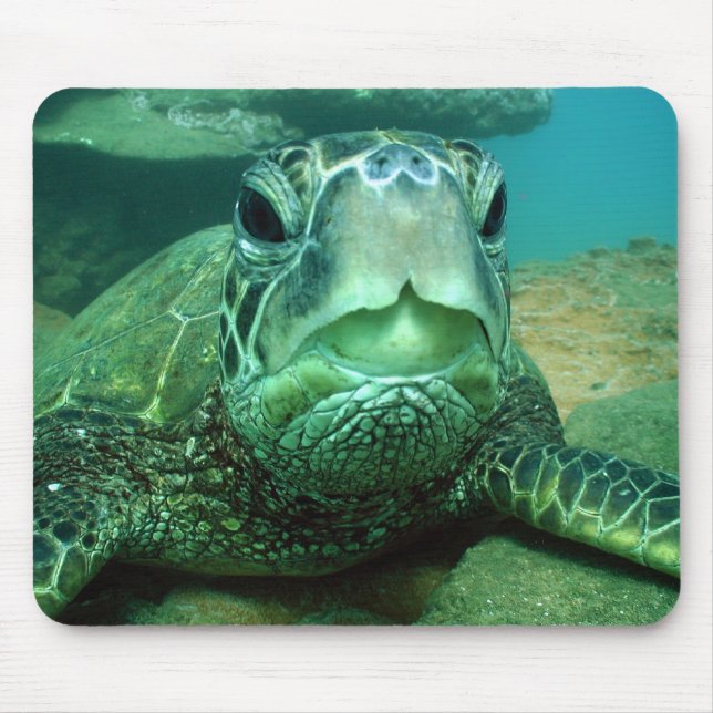 Mousepad hono (Frente)