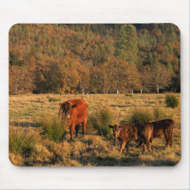 Mousepad Hora da Família.......