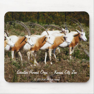 Mousepad Horned do Oryx do Scimitar