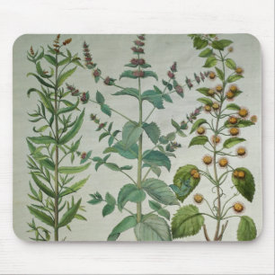 Mousepad Hortelã: Crispa do Mentha
