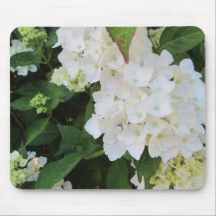 Mousepad Hortênsias Brancas