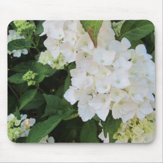 Mousepad Hortênsias Brancas