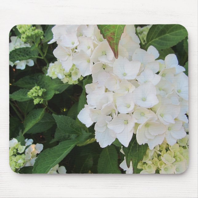 Mousepad Hortênsias Brancas (Frente)