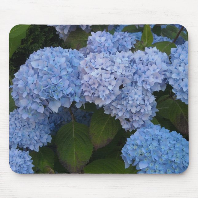 Mousepad Hortênsias Elegantes (Frente)