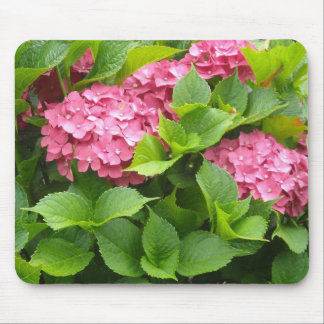 Mousepad Hortênsias Rosa Intenso