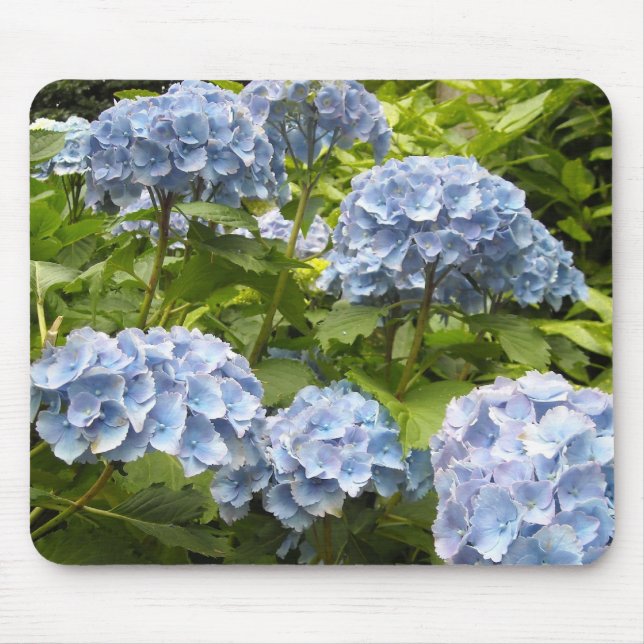 Mousepad Hortênsias Tons de Azul (Frente)