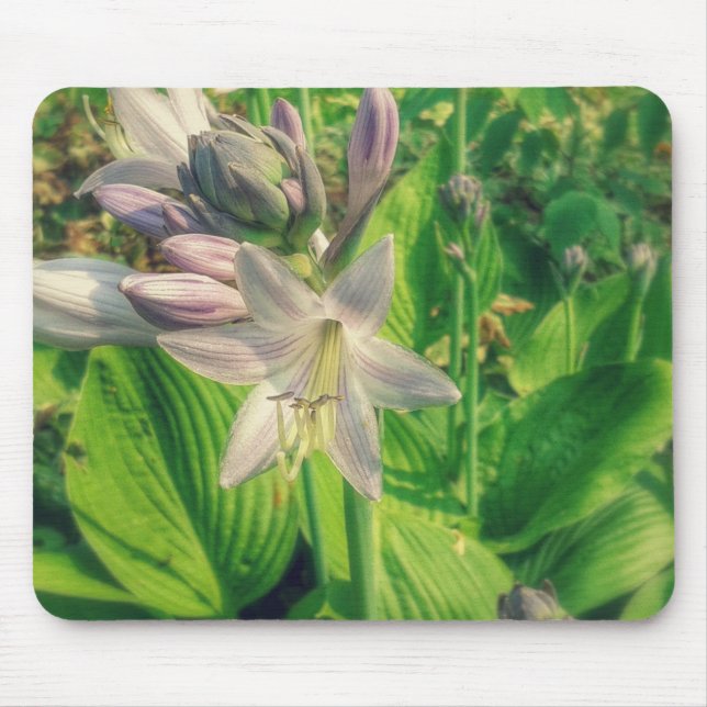 Mousepad Hosta (Frente)