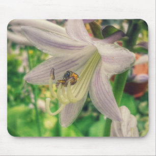 Mousepad Hosta e abelha