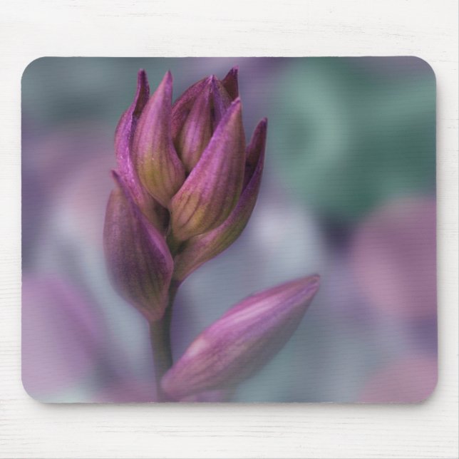 Mousepad Hosta Flower Buple E Green (Frente)