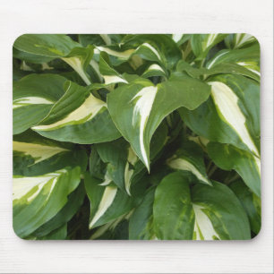 Mousepad Hosta Leaves