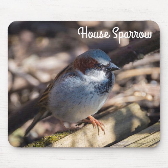 Mousepad House Sparrow (Frente)