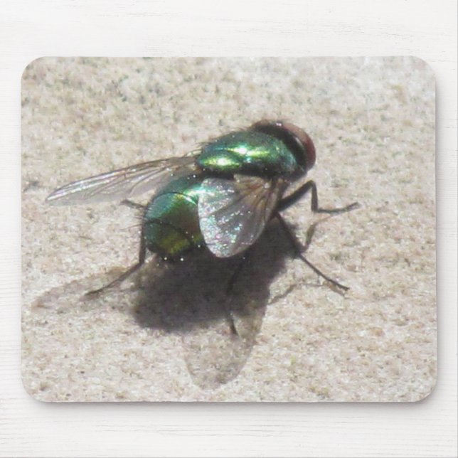 Mousepad - Housefly (Frente)