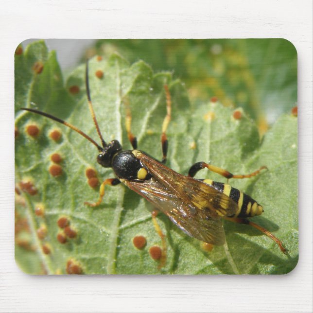 Mousepad Hoverfly (Frente)