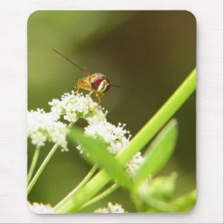 Mousepad Hoverfly no aipo